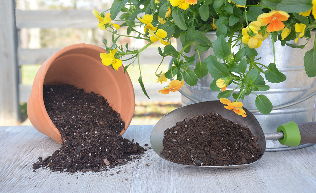 Best potting soil for vegetables