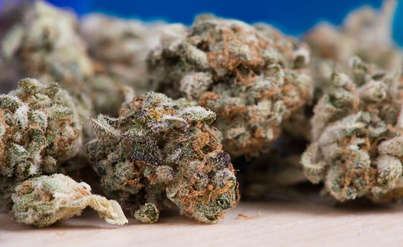 CBD Flower